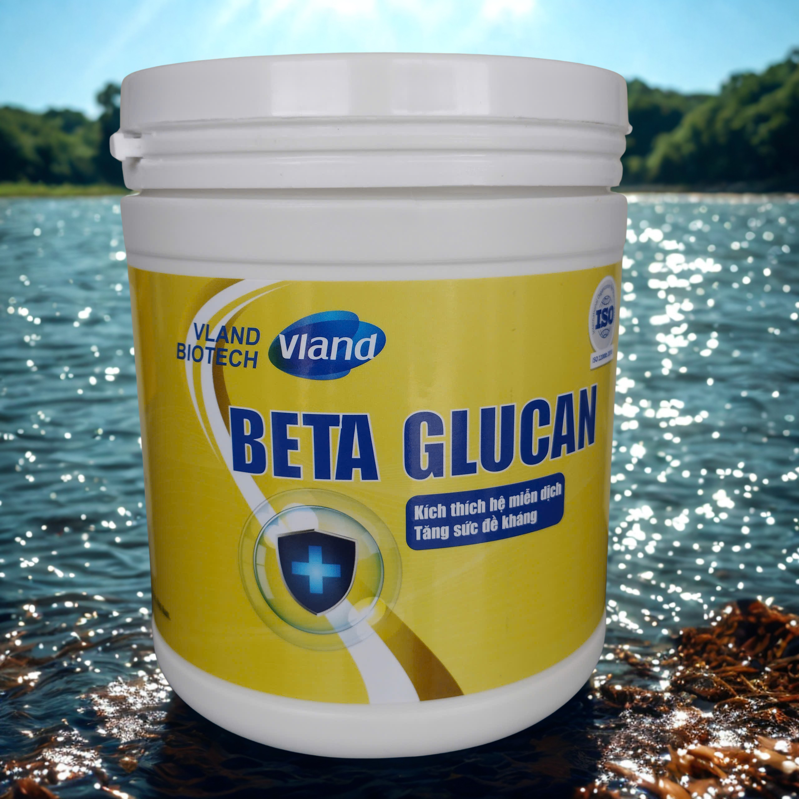 BETA GLUCAN