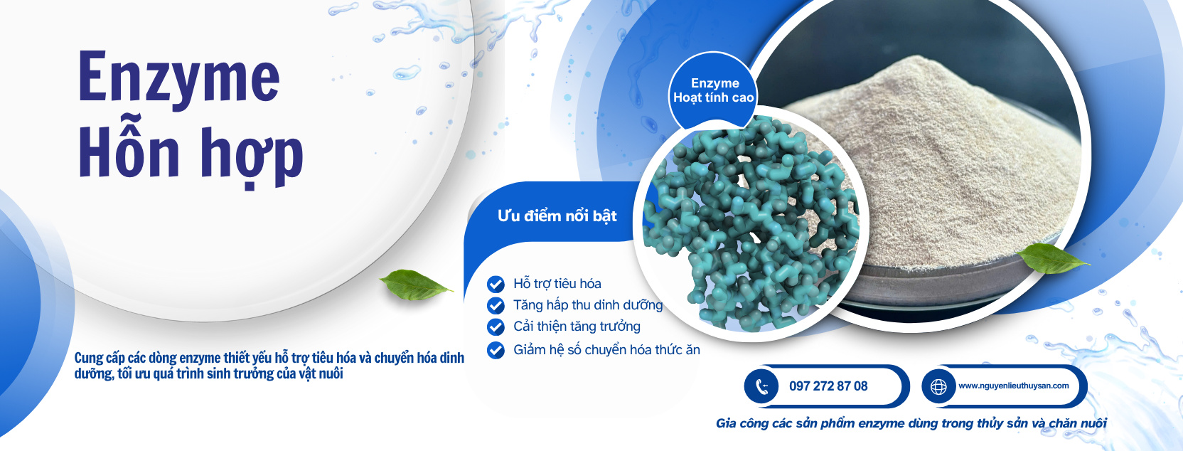 Enzyme hỗn hợp