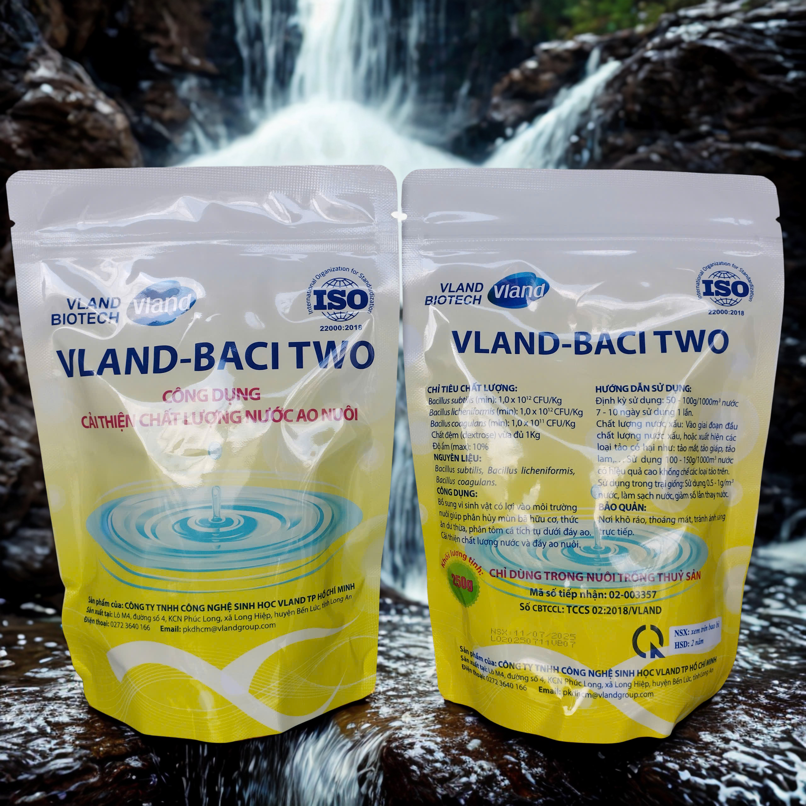 VLAND-BACI TWO