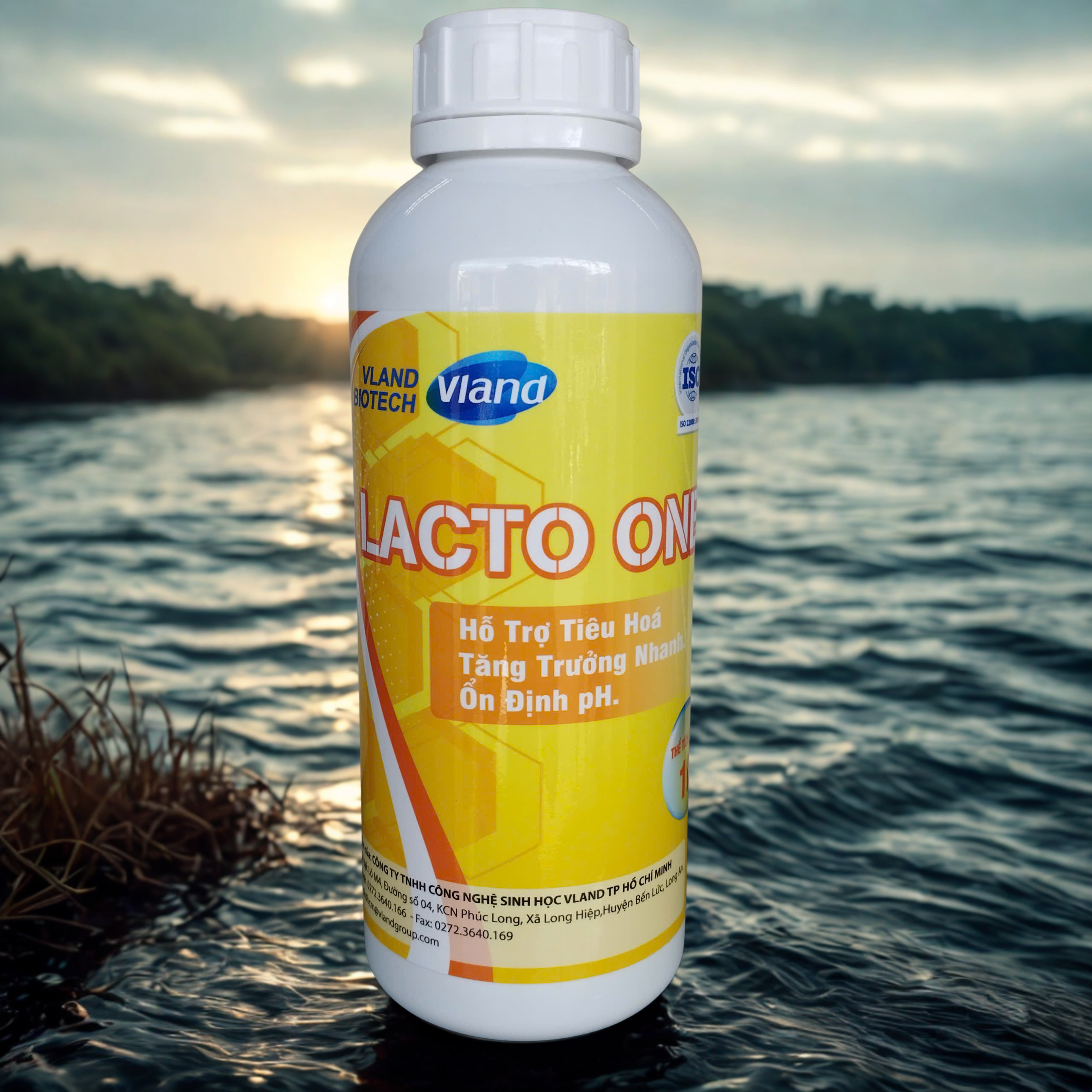 LACTO ONE