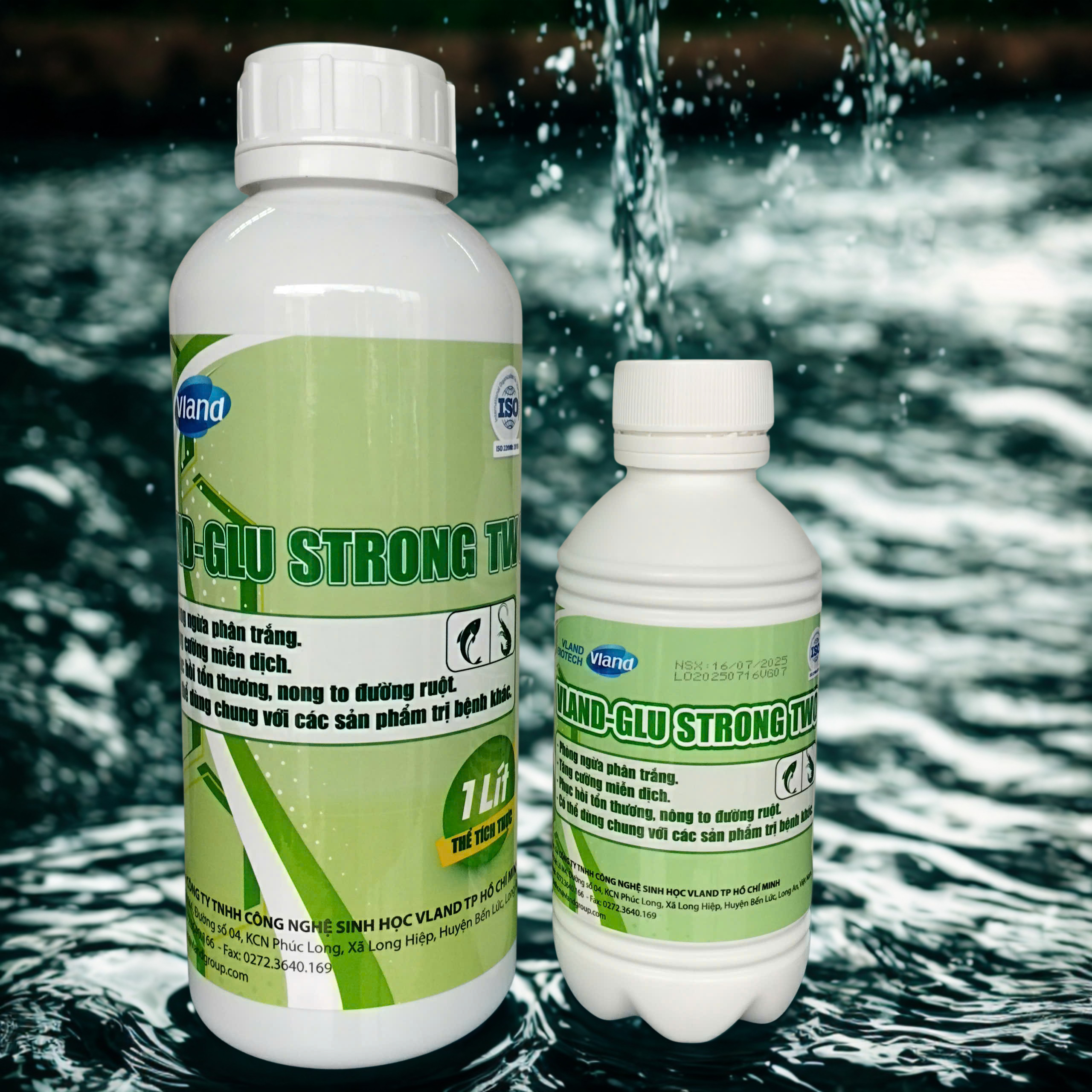 VLAND GLU STRONG TWO