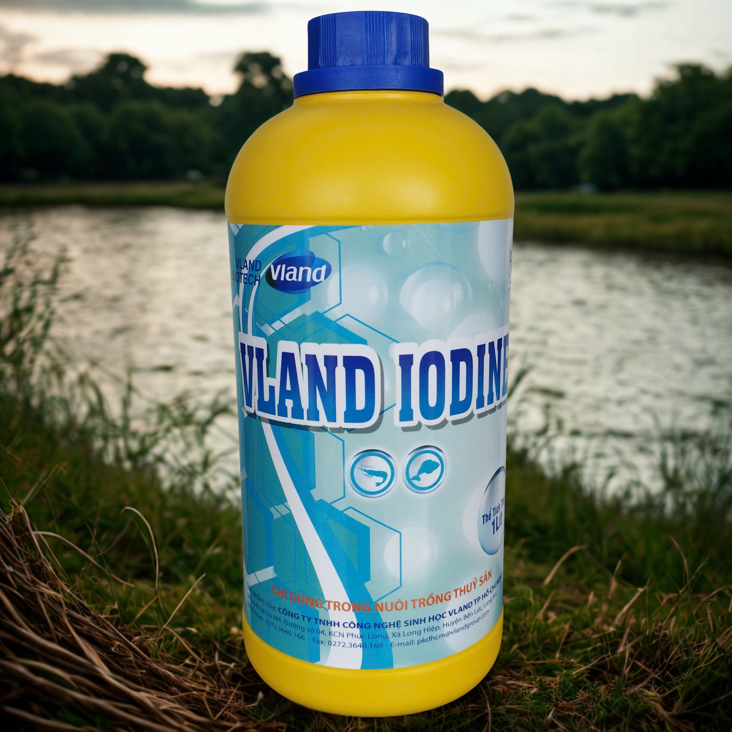 VLAND IODINE